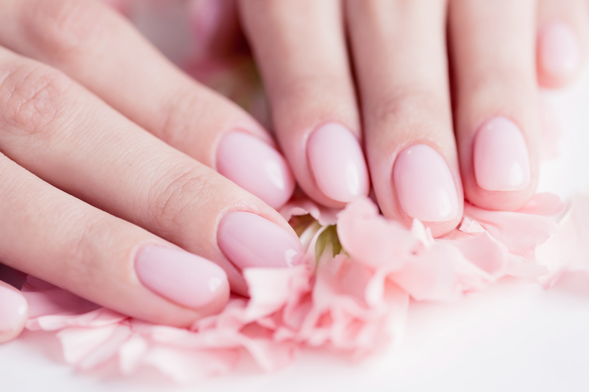 ワンカラーのデザイン | 神奈川県茅ヶ崎のネイルならFun nail salon & school